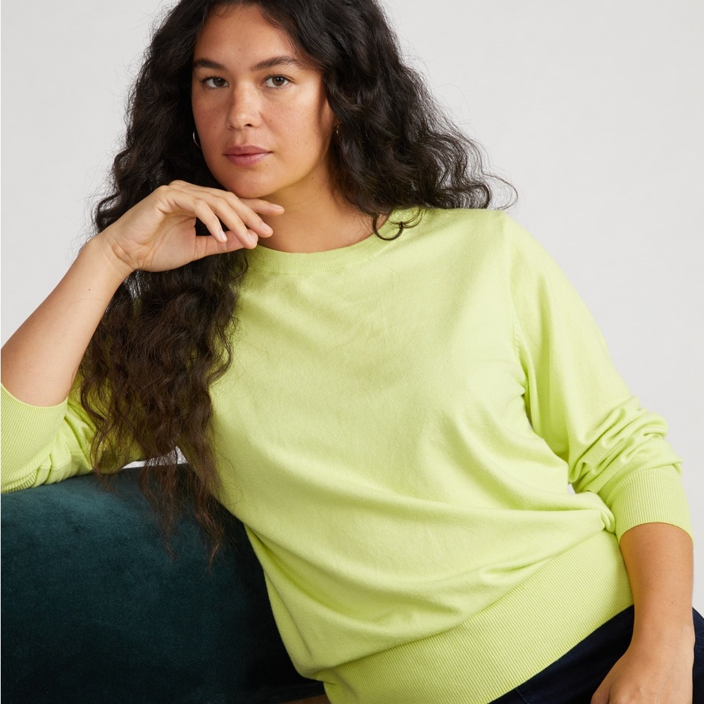 Universal Standard Savvy Fine Knit Crew Sweater